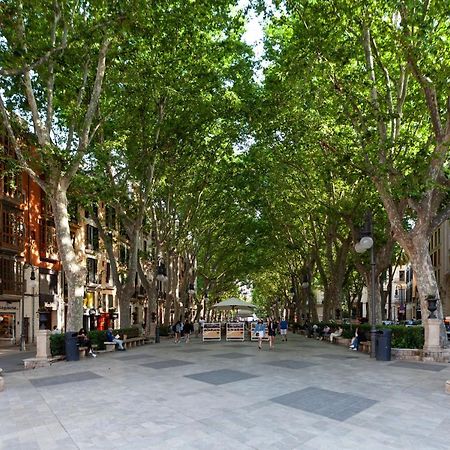 Nivia Born Boutique Hotel Palma de Mallorca Zewnętrze zdjęcie